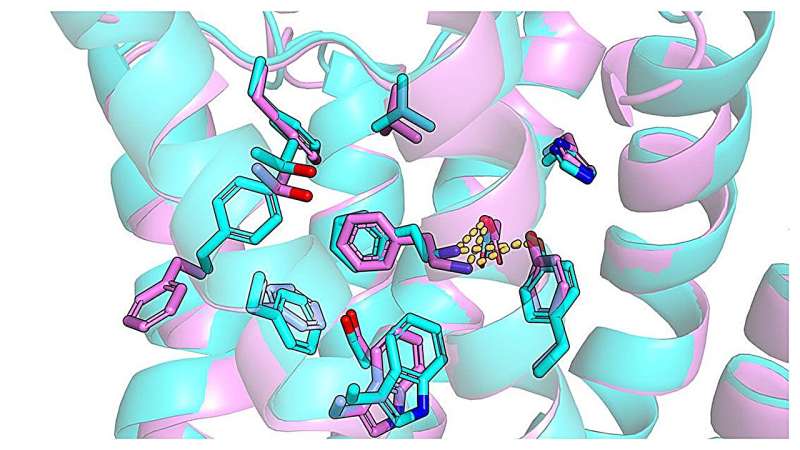 ai-can-speed-up-drug-d